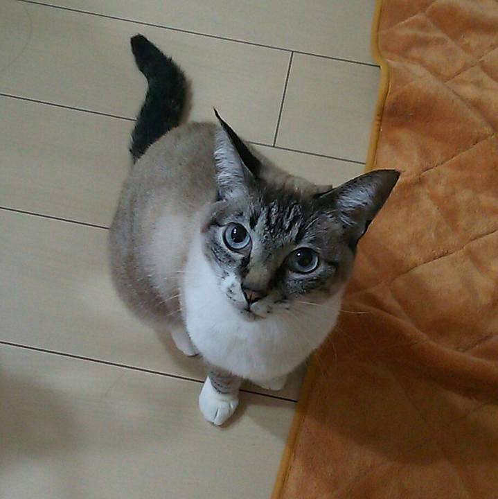 98d98f23 3bc0 46d6 bbb7 5d9ac80c2879