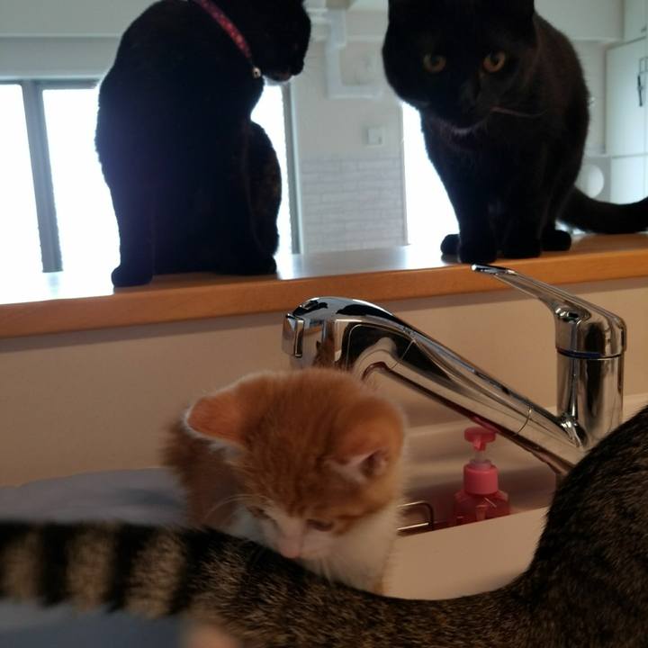 98da383d 3a2b 478c 8ce1 326fa553c732