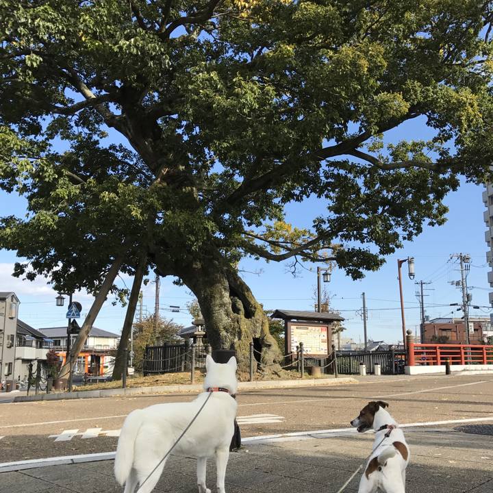 98da837f 7477 47aa 8313 f10ab5c8700e