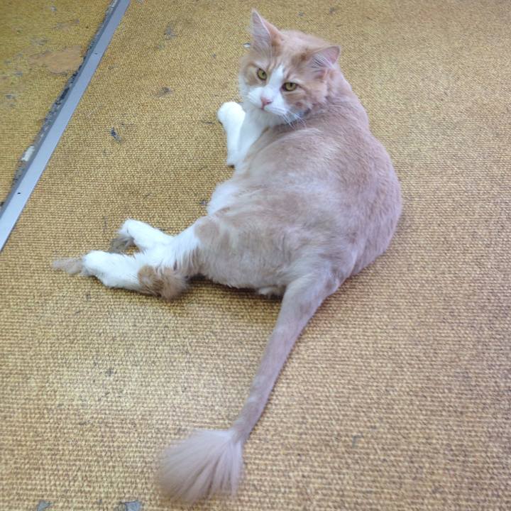 98dadf9f 629e 4794 b436 a5e6fc409048