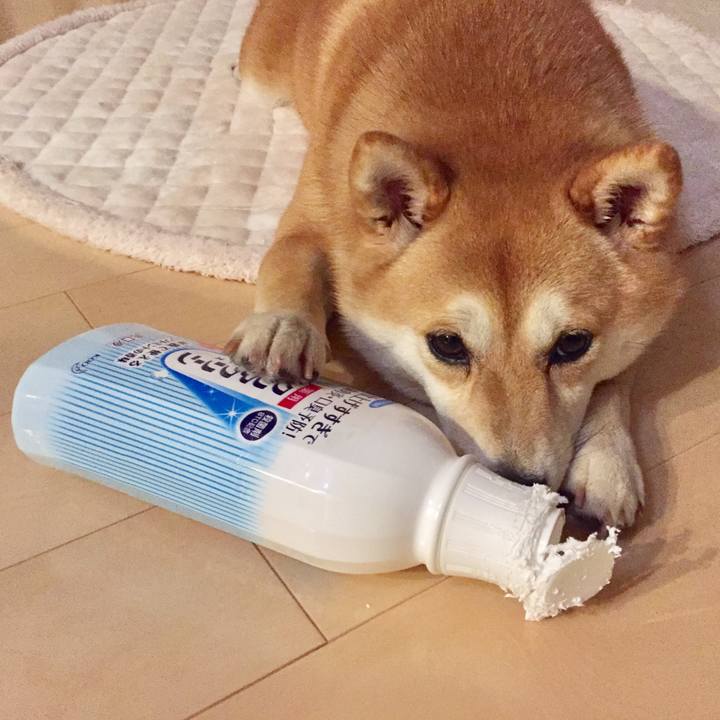 98db03bb 2939 472b 943c 4d97f2bfc74d