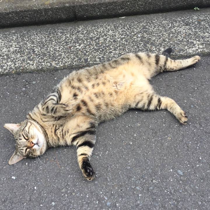 98db2b85 5510 487c a792 bf0aab7cc219