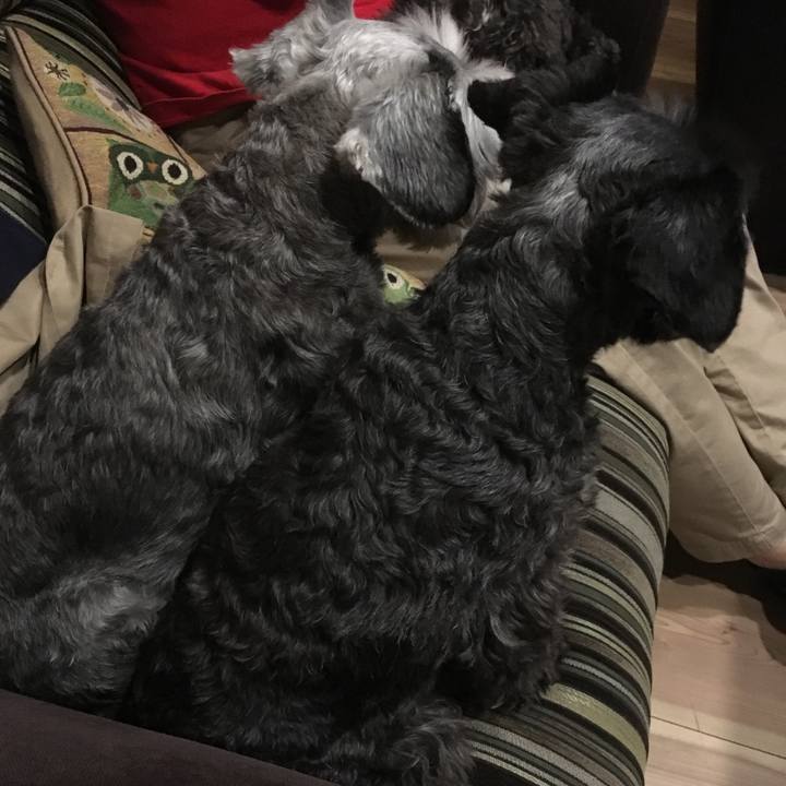 98db7b24 8ecb 4d18 bc3c 022156812451