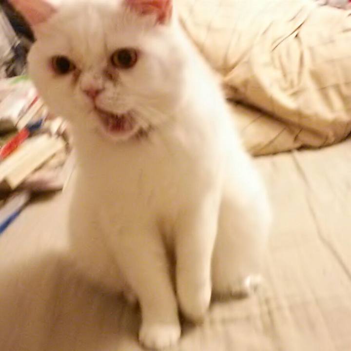 98dc0de6 e630 4c6d 984d d2f71ba6f683