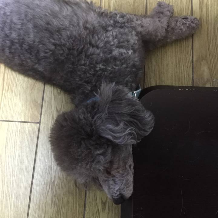 98dd6747 9dec 4b1f 831c 9ba00d691169