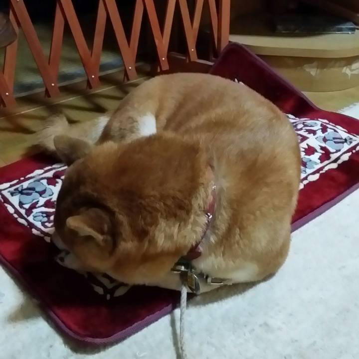 98dd78b2 ab76 446a 9056 9f88f10cb4a0