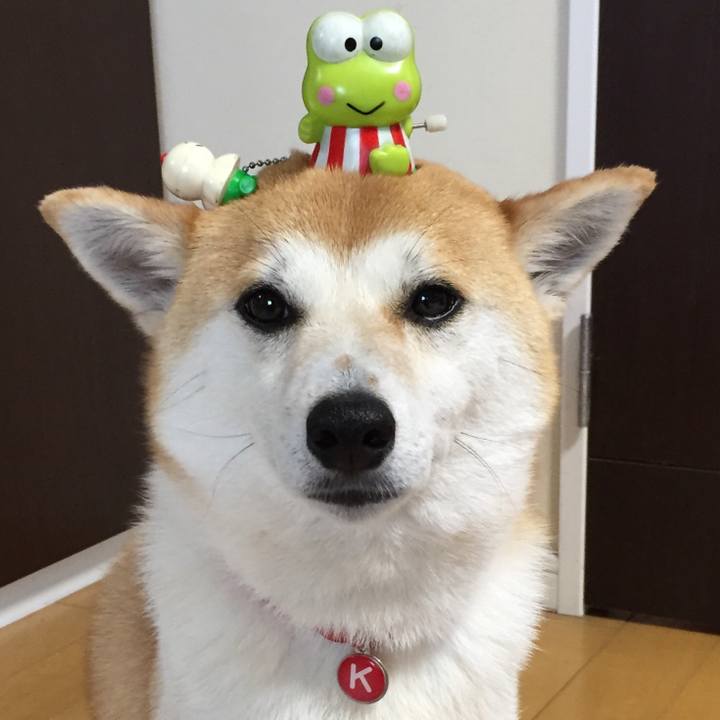 98ddd18d 00d1 40ff a9fd 495008ff9068