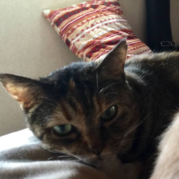 98e0272f a313 441d 8c12 1cc135b9d95f