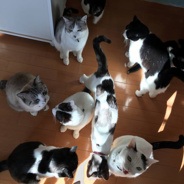 98e08b0c 431a 4ee6 9296 560c5b0d0f21