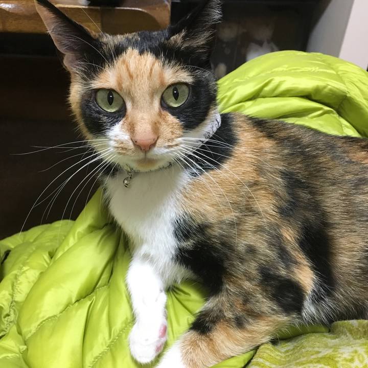 98e19c00 82df 43b7 a7d2 25f48f1e462e