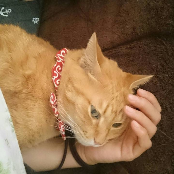 98e1fbee 9d26 4794 9e1a 6799d18cc534