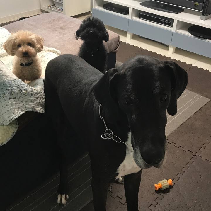 98e30063 7a8b 41a0 aa69 9290f99f8930