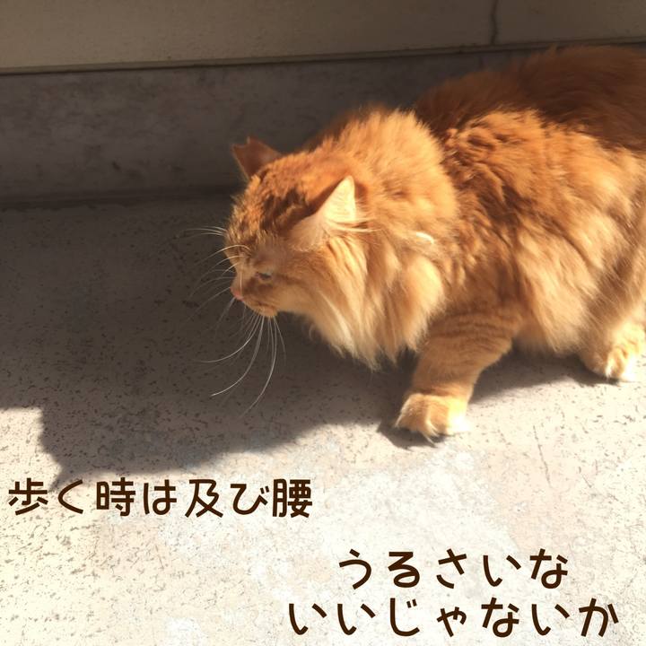 98e3826e 3096 4fbc badf a4aaff3c1bbb