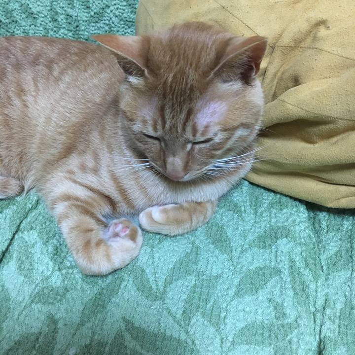 98e3db97 fa18 4586 b918 f945f4c26ab0