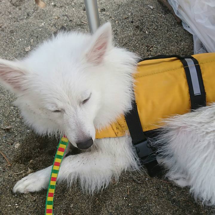 98e41fb4 8bc7 45bf b6a8 5fbd91e988af