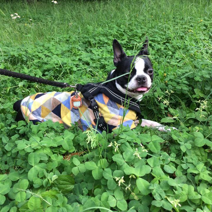 98e433a0 c480 4a8a 97ee 1e98f284aa7f