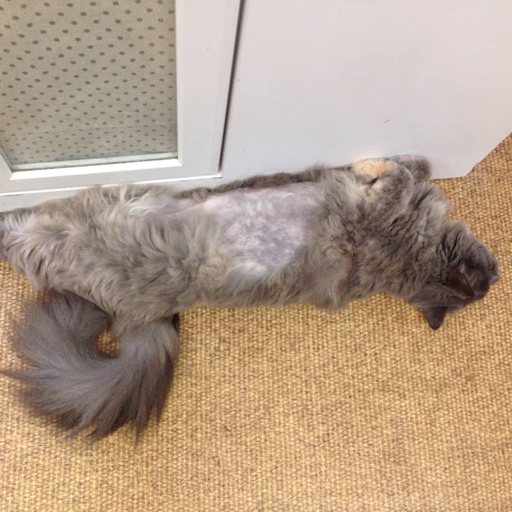 98e45d68 565a 4dac a20e 15f85df76c8a