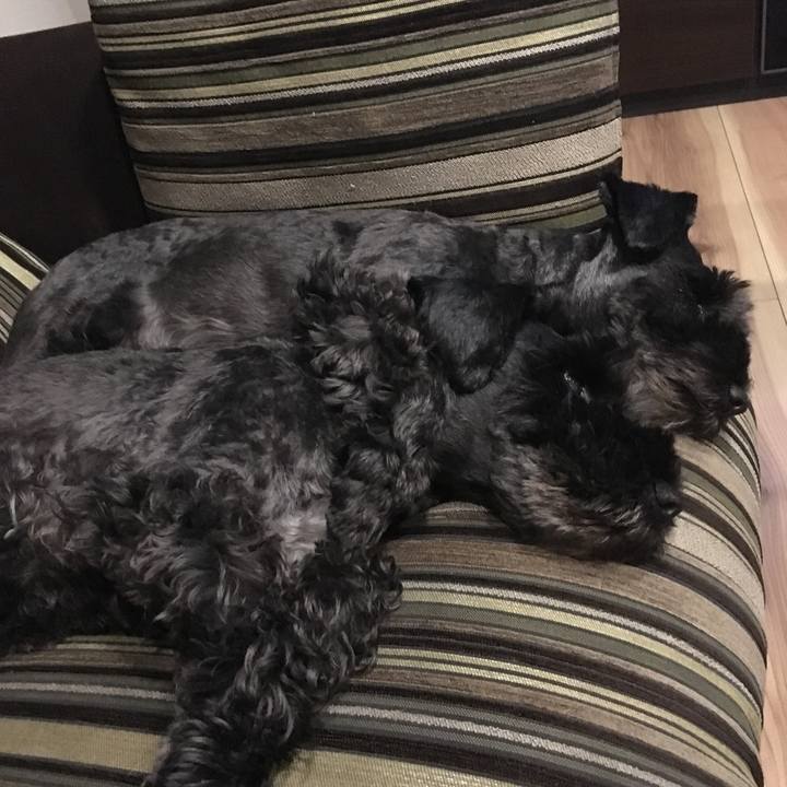 98e4977c 3ae1 46d5 8c23 52ff968993f8