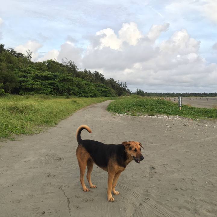 98e50726 6cc0 428a 8fbe 2d71c733a238