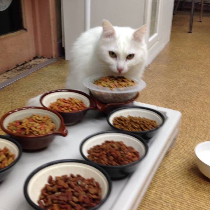 98e5596b 3849 4043 9f01 deb9adccb725