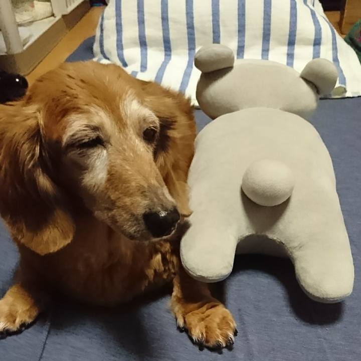 98e5e6d2 7584 4433 bed0 4879d4d0a1ca