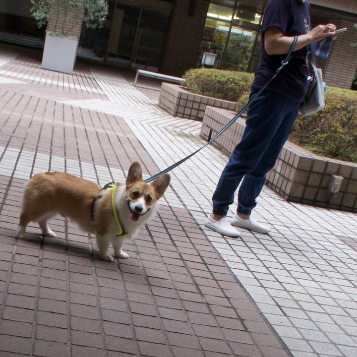 98e62224 0c05 403e 8866 5339d3f2fba4