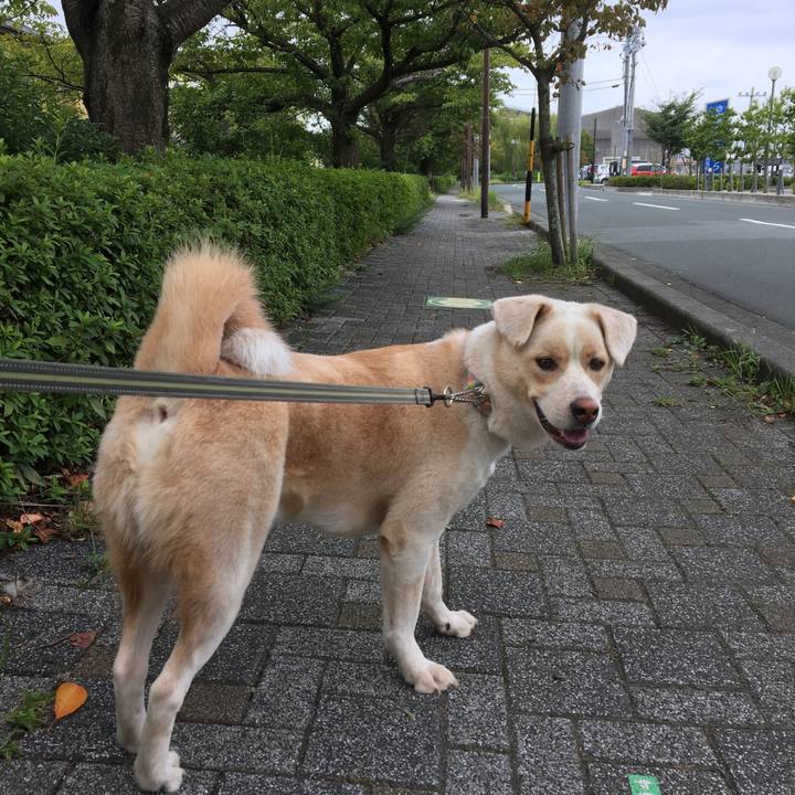 98e6f0cf 5668 4933 9b01 8a6391e18ba5