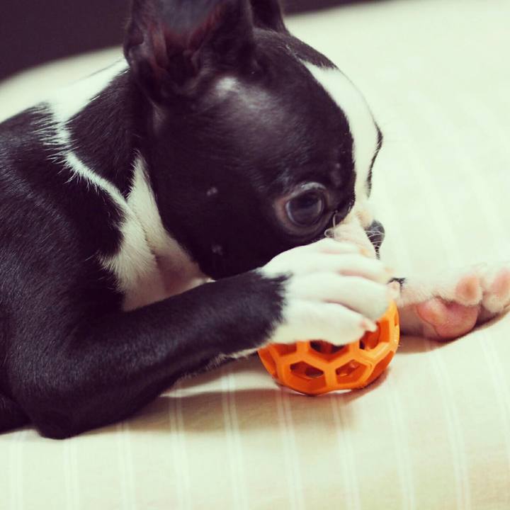 98e7e667 c093 4af9 8d8c 72c6d6135e5a