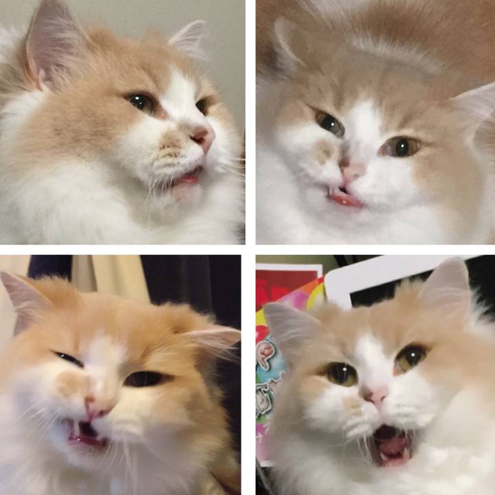 98e8970c 4081 4723 a220 75a7eaa74072