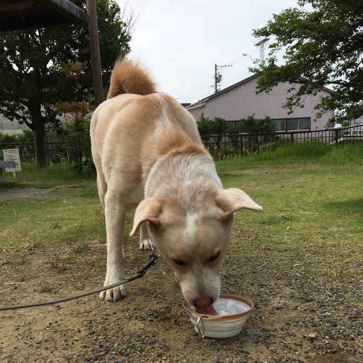 98e90eb0 ceed 4dda a0f5 ce8d32cd412a