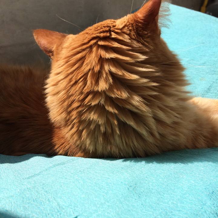 98e92b16 8648 44da 8094 4bdbff51cde4