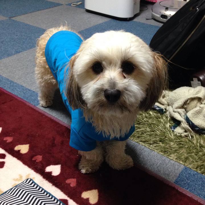 98e950fd 3413 4b59 abc0 40d1f0e2910b