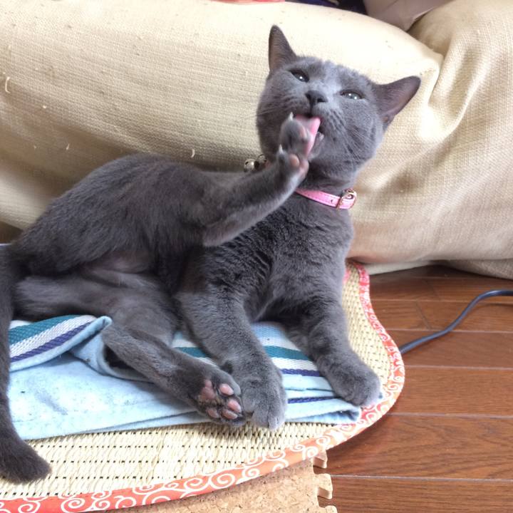 98ea08c6 5061 4656 97d0 5fb92b1afe8b