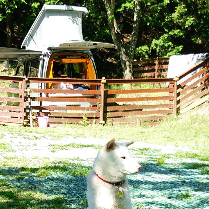 98ea195f eba0 4dbb 9b3e 1b423d236d7e