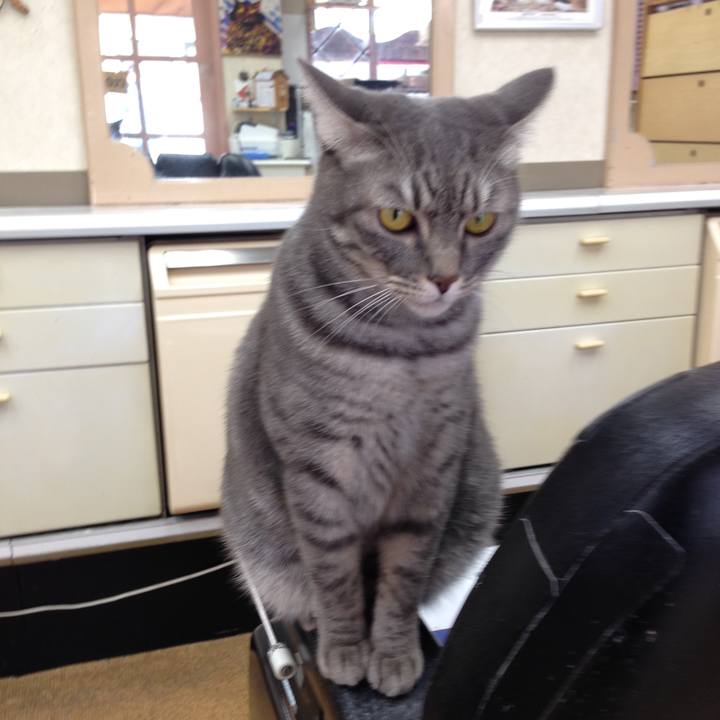 98ea954a 671e 4982 86d4 fa638dec25dd