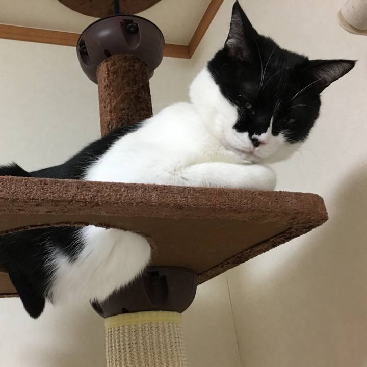 98ec56c1 f90f 43c5 9f01 afcf8f903715