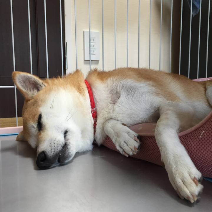 98ed0205 0b97 4a0a a373 a6363cd182c0