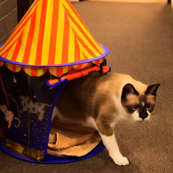 98ed0d10 08af 4364 b4e5 b53fe1cddba6