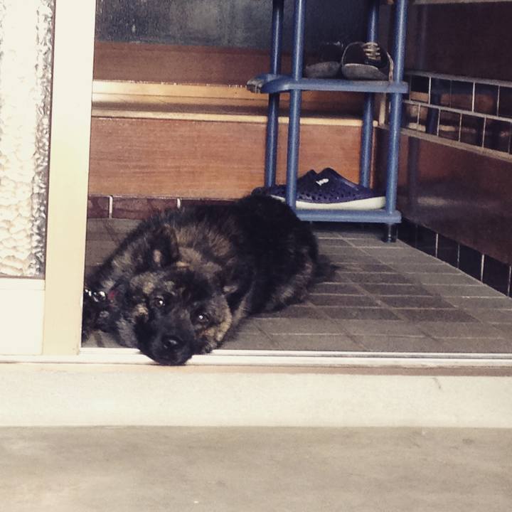 98ed31a8 5890 4dc3 b264 ca8d4cabed44