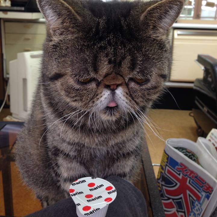 98ed3980 f215 4572 861e 1f816432c8e5