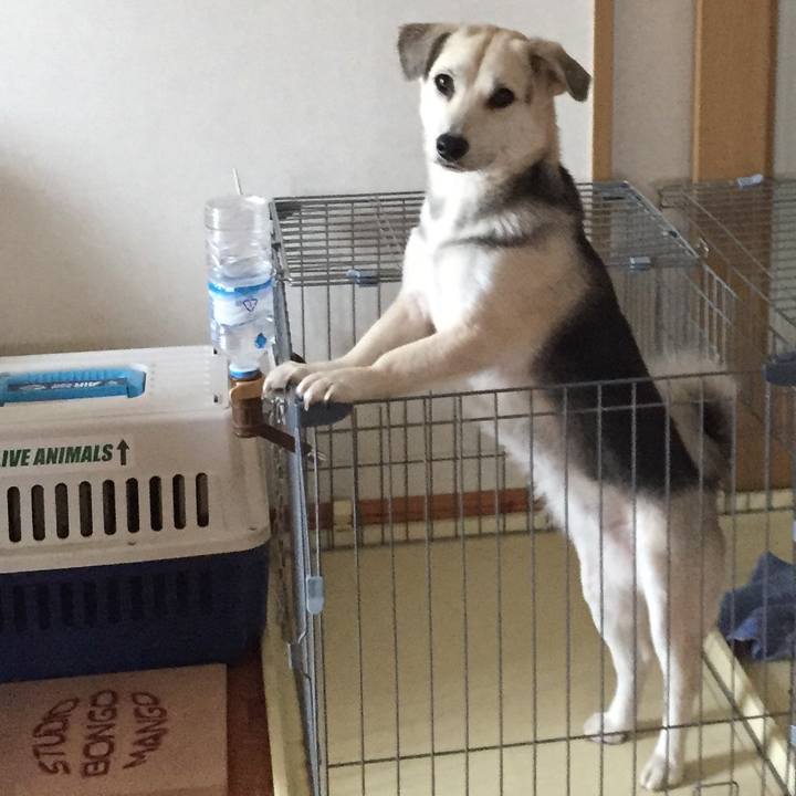 98ed8b70 58dd 4aad 86d5 a7abd30fb678