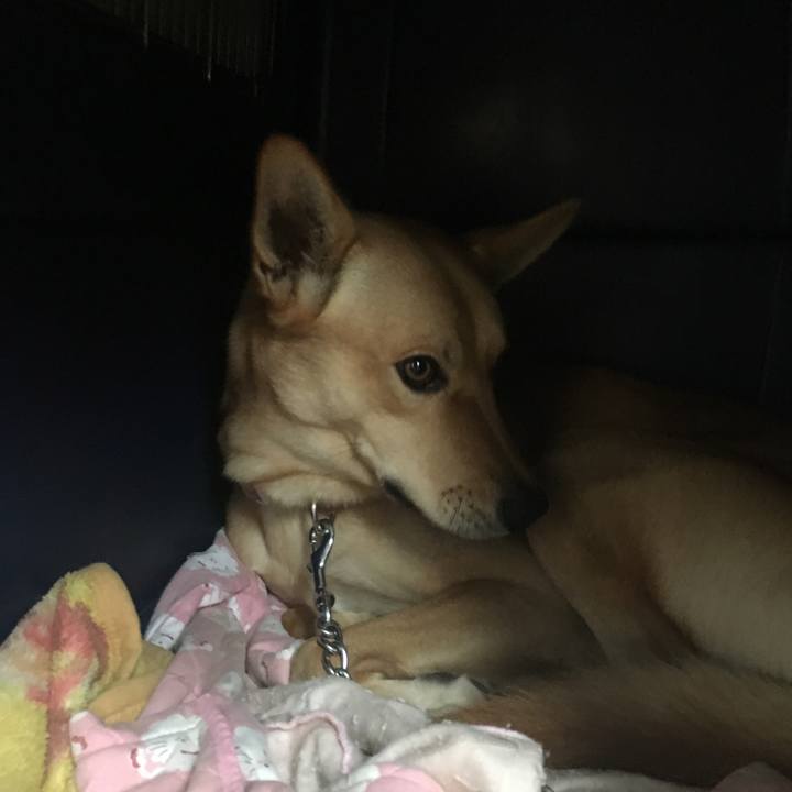 98edd97b 7642 4db5 907a effab77bfbb6