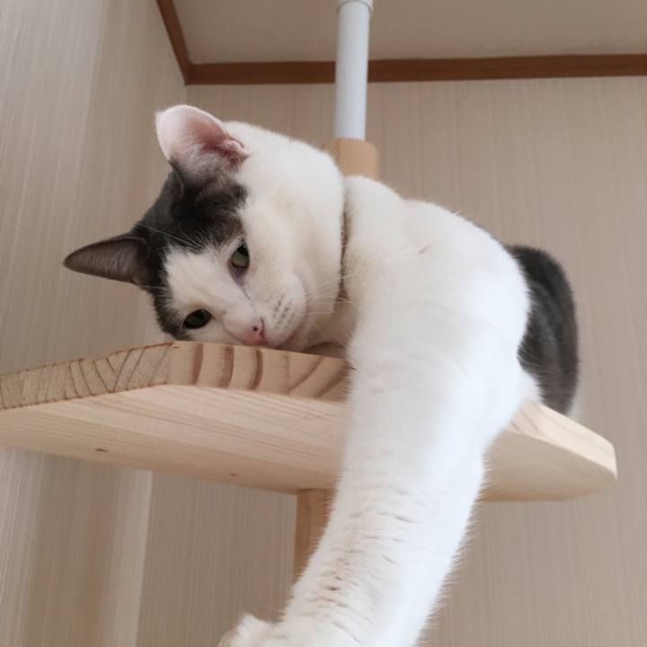 98eebb24 aeb5 4b81 b211 9c274cb8d3a3