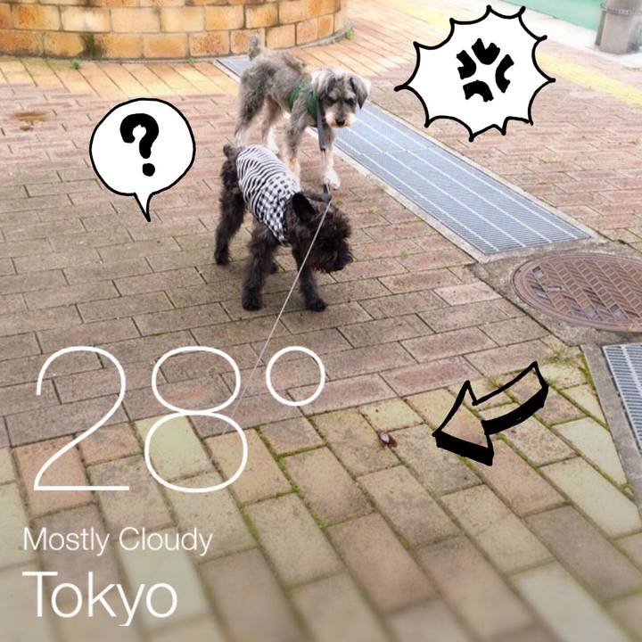 98eeded7 a837 48b5 a634 a396a64224a1