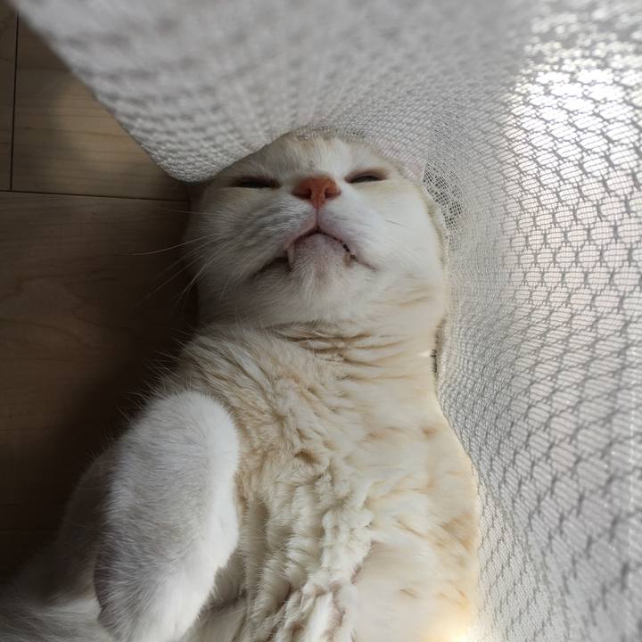 98ef1907 1522 4767 bbff 152cd2acdafe