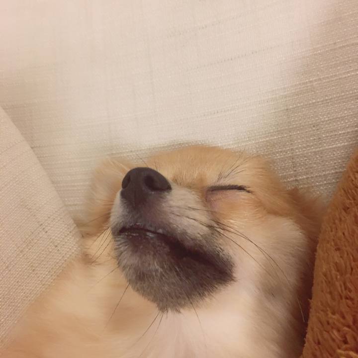 98ef7442 6e41 4ff4 aed4 304b91372431