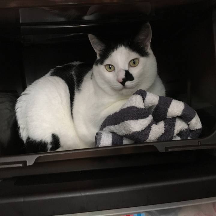 98efb851 4287 4dba b25c 4f9674047ea2