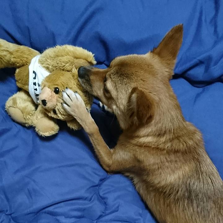 98efd96e ffa7 4a72 ab56 7a5f29de7431