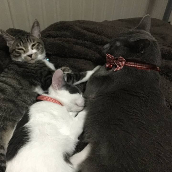 98f00de9 af4a 4173 b226 502ec008c582