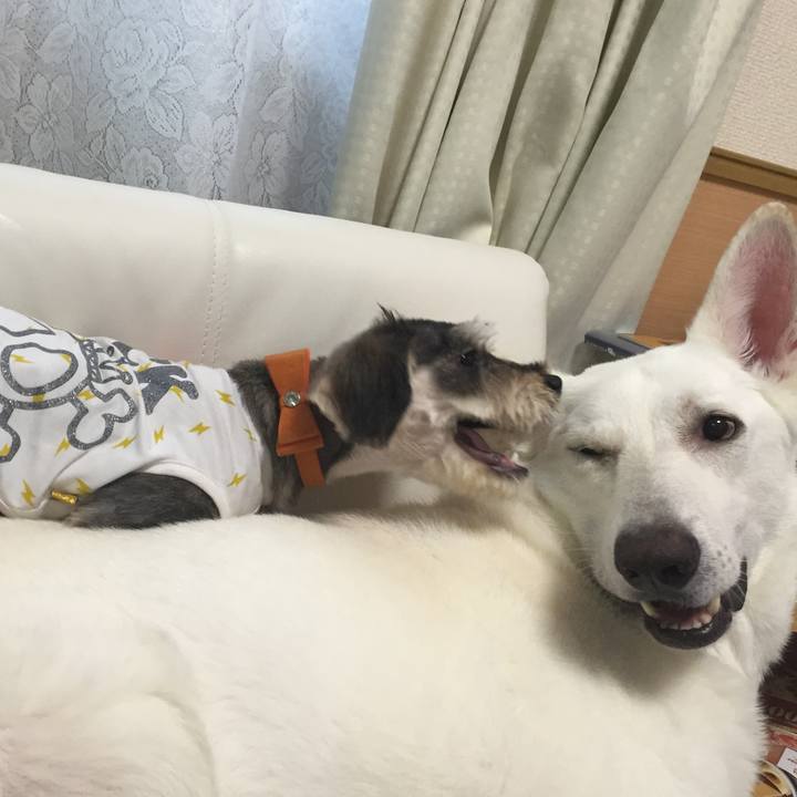 98f194b8 ebd0 487b b59a dc48d5291784